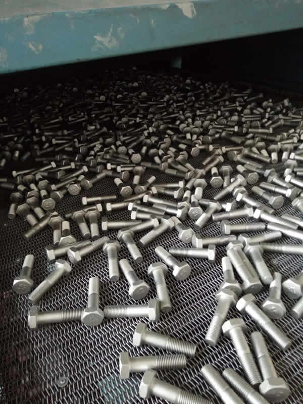 �o�t�_���_